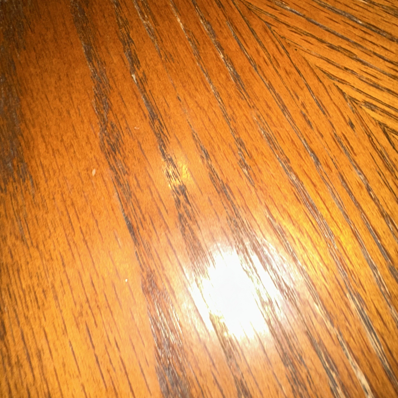 Foto 7 di 9