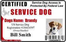 Service Dog ID Card for Vest Working Dog ID Badge Service Animal Custom made 7