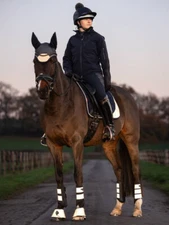 LeMieux Over Reach Boots - Reflective