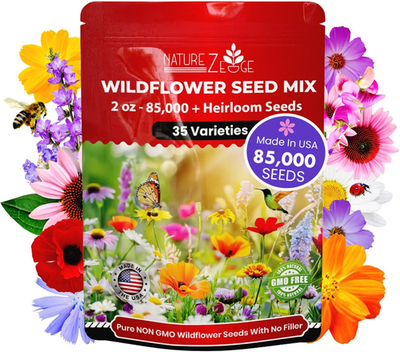 cat tail plant seeds 50 CATTAILS Cat Tails Typha Latifolia Water Pond Grass Flower Seeds – The  Pepper Pantry