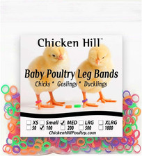 Baby Poultry Leg Bands 1/4" Medium Chick 100