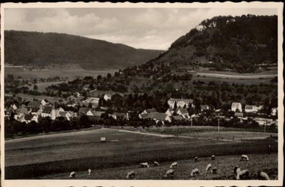 50475180 - 7342 Bad Ditzenbach cow pasture