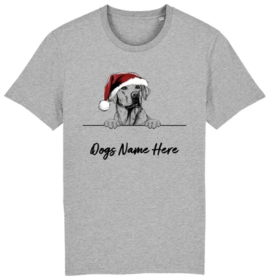 BUZZ SHIRTS LABRADOR RETRIEVER Personalised Christmas Dog T-Shirt Mens Womens Kids Dogs Name
