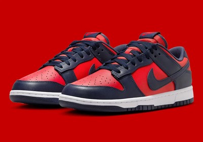 Men's Size 11 Nike Dunk Low Retro Shoes University Red Obsidian DV0833-601 NEW