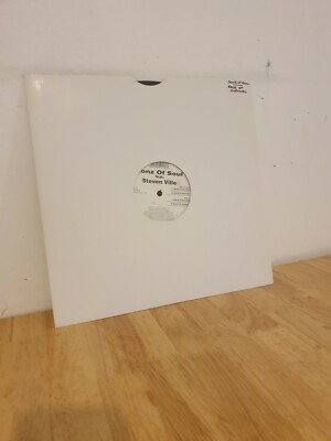 Sonz Of Soul Feat Stephen Ville Race of Survival 12 Inch Vinyl Dance Record 