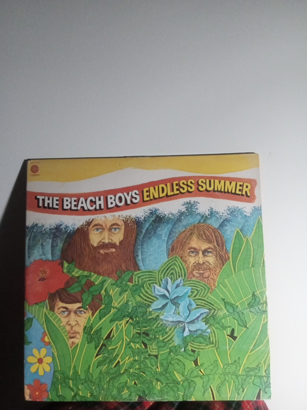 The Beach Boys Endless Summer Limited Edition Vinyl LP by Capitol Records