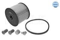 Meyle 11-16 323 0000 Kraftstofffilter FüR CitroËN Passend FüR Fiat Lancia