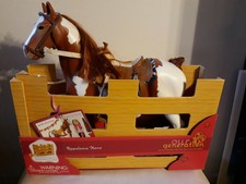 our generation appaloosa horse