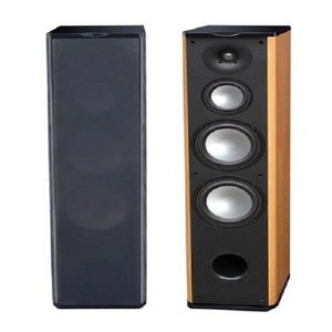 acoustic pa speakers