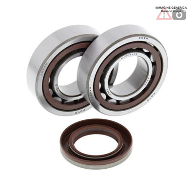 Cuscinetti Albero Motore NCI Set Guarnizioni E Cuscinetti Albero Motore TS410 - Per Modelli Post 2013, Compatto E Completo Ricambi Motore Post 2013 Ts410 - Foto 10