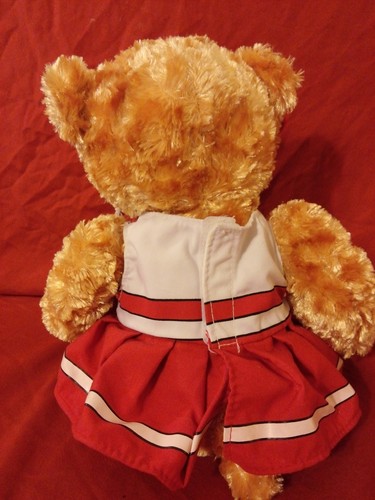 Animadora musical de peluche oso de peluche de Disney High School The Ice Tour - Imagen 7 de 11
