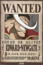 Poster Studio B - One Piece Wanted Whitebeard Edward Anime 24x36" NEW R81596