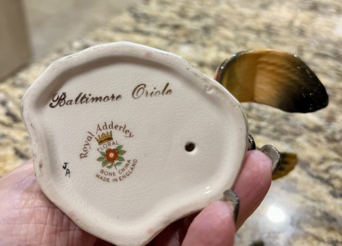 Royal Adderley Floral Bone China England ~Baltimore Oriole~Mint Condition - Picture 6 of 6