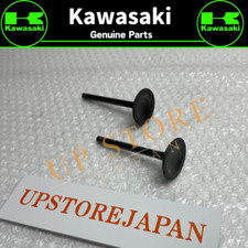 Kawasaki Genuine 1990-2010 KLR650 VALVE INTAKE Pair Kit 12004-1087