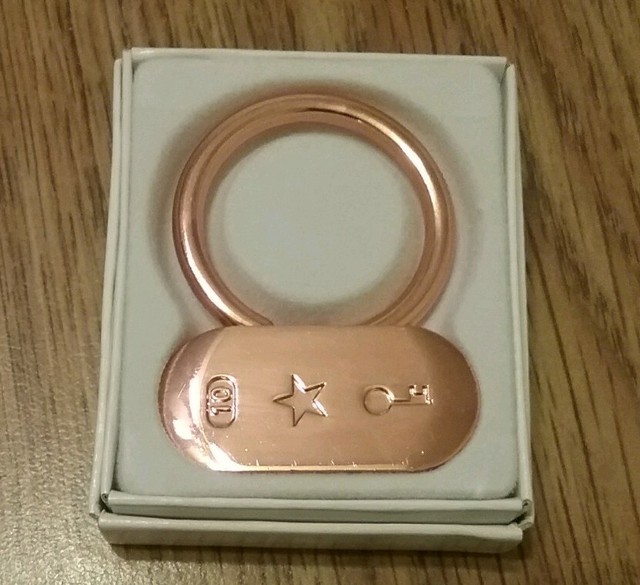 Weight Watchers Key Charms Ring Mixed Lot of 5 Promo Awards Sealed New