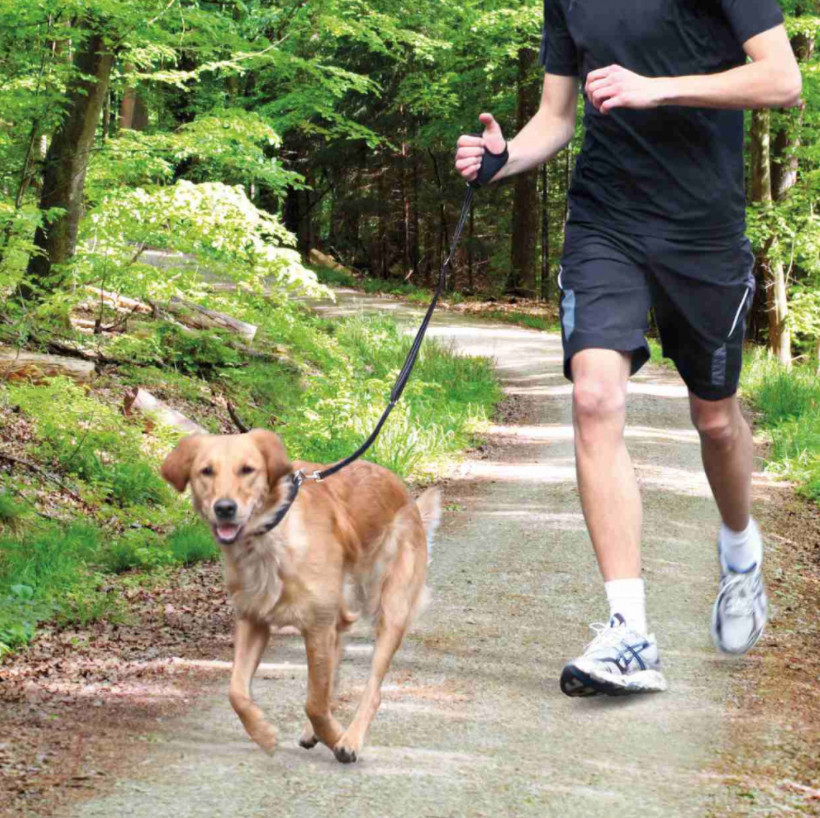 Trixie Dog Jogging Leash Lead can attach to hand adjustable shock absorber 12764