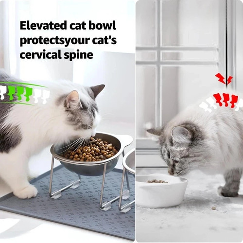 Raised Cat Bowl Tilted 15° Stainless Steel Elevated Pet Food Dish - Picture 2 of 6