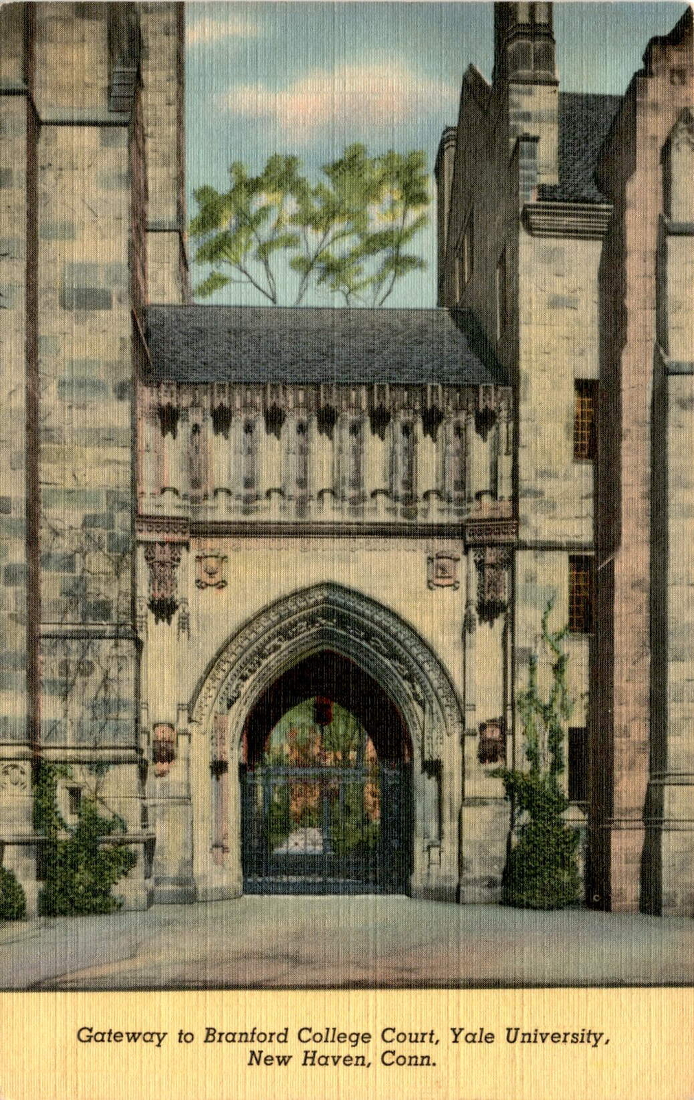 Branford College Court, Yale University, New Haven, Conn, Samuel Postcard