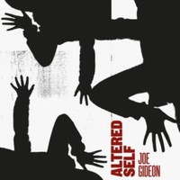 Joe Gideon - Altered Self - Vinyl Record 12 Record - G3Z