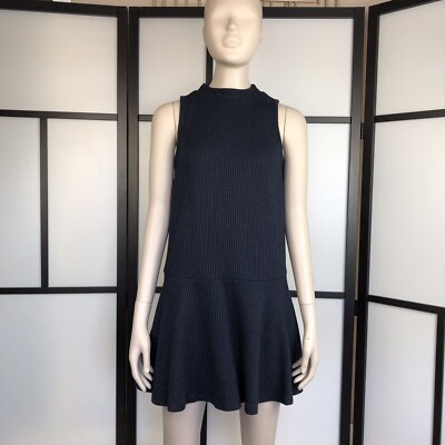 Ann Taylor LOFT Stripe Dress Black Size XS P Sleeveless Drop Waist Pleated  F-10 | eBay