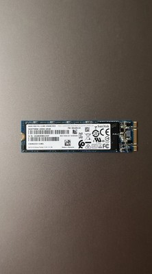 SanDisk X600 256GB M.2 2280 SATA SSD SD9TN8W-256G Business SSD Solid State