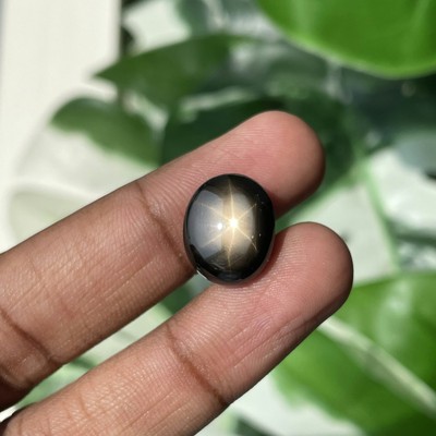 17.20 CT Marvelous Rare 100% Natural Black Star Sapphire