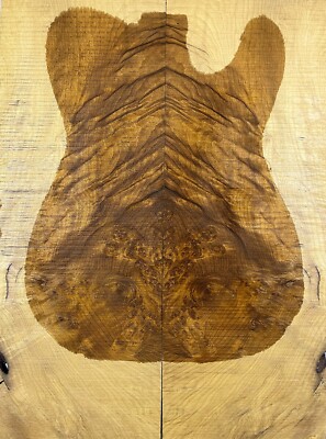 Telecaster Guitar Top Flame Golden Phoebe Wood Burl Set Luthier Supply