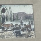 Picture 5 of 14