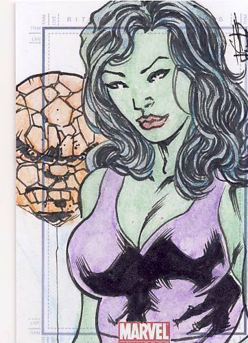 2011 Marvel Universe Sketch Card Lee She Hulk - Picture 1 of 1