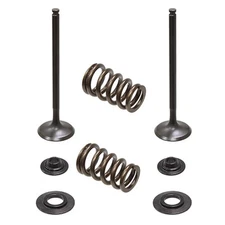 Psychic Exhaust Valve Kit for KTM 2005-2007 250 SX-F, 2007 250 EXC-F & 250 XC-F