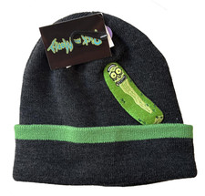 Rick and Morty Pickle Rick Dark Grey Men's Beanie Hat, One Size. New w/ Tags 