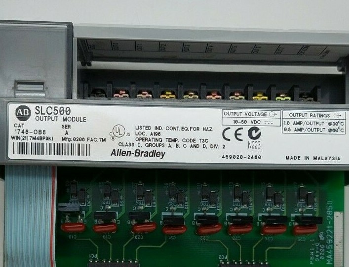 Picture 9 of 9