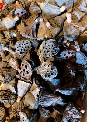 100 Getrocknete Lotosblüten mini 3-5cm naturfarben Trockenblumen 