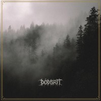 DÖDsrit: DöDsrit - 375 Media - (Vinyl / Black Metal)