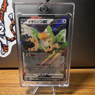 Pokémon Squawkabilly ex 065/071 Sv2p Snow Hazard Double Rare Holo Japanese