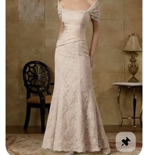 Sheath Floor-length Strapless Lace Mother Of the Bride Dress Size 10 Champaign