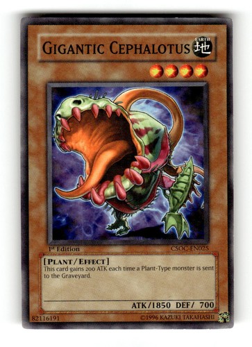 Gigantic Cephalotus [1st Edition] CSOC-EN025 card