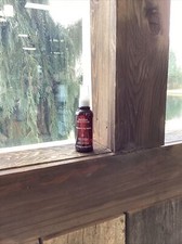 Aveda Volumizing Tonic with Aloe 3.4oz