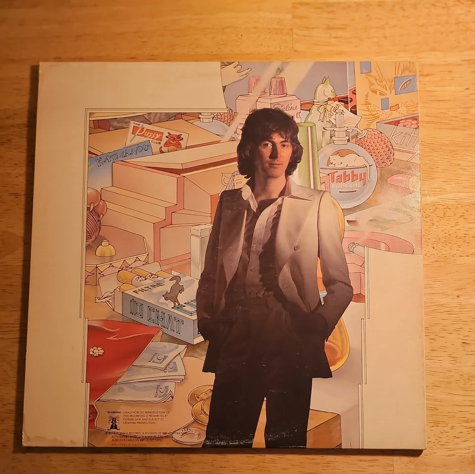 Al Stewart - Year of the Cat - 1976 Janus Records JXS-7022 -Vintage Vinyl LP VG+ Foto 2 de 4