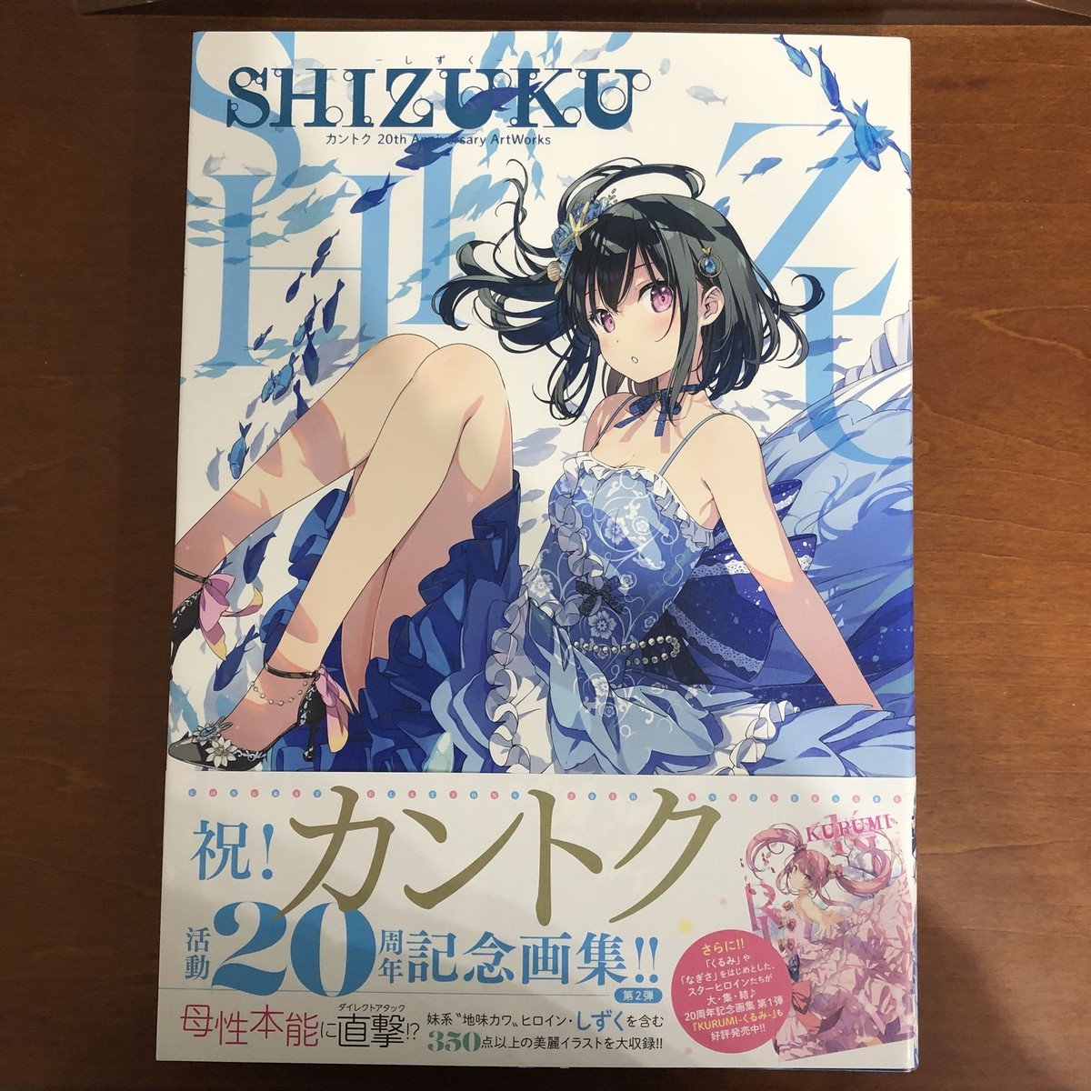 【カントク】SHIZUKU - しずく- 20th リフレクションアート SHIZUKU Kantoku 20th Anniversary ArtWorks Art Book Illustration | eBay
