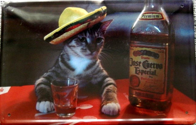 Blechschild 20 x 30 cm Katze Sombrero Tequila FUN Alkohol Neu OVP