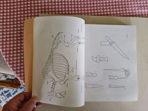 Säugetierosteologie. von B.Miles Gilbert. Erstausgabe 1980. - Bild 11 von 11