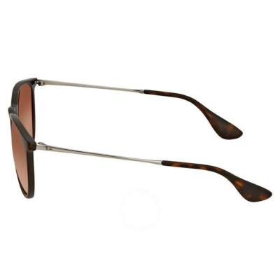 Ray-Ban Erika Classic Brown Gradient Phantos Women