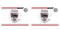 Esen SKV 2X Radnabe Radlagersatz Hinten FüR Honda Civic VI Hatchback CRX III