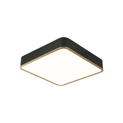 LEDCeilingMountfromtheAinslayCollection