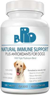 Dog Mushroom Complex Chews Turkey Tail Reishi Immune Support CoQ10 100 Tablets