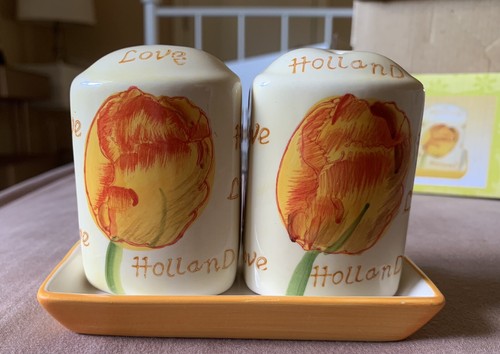 Deco World Hand Painted Tulip Salt & Pepper Shakers Fall Color Holland Made New