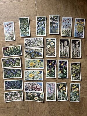 Brooke Bond Wild Flowers Series 3 Tea Cards x25
