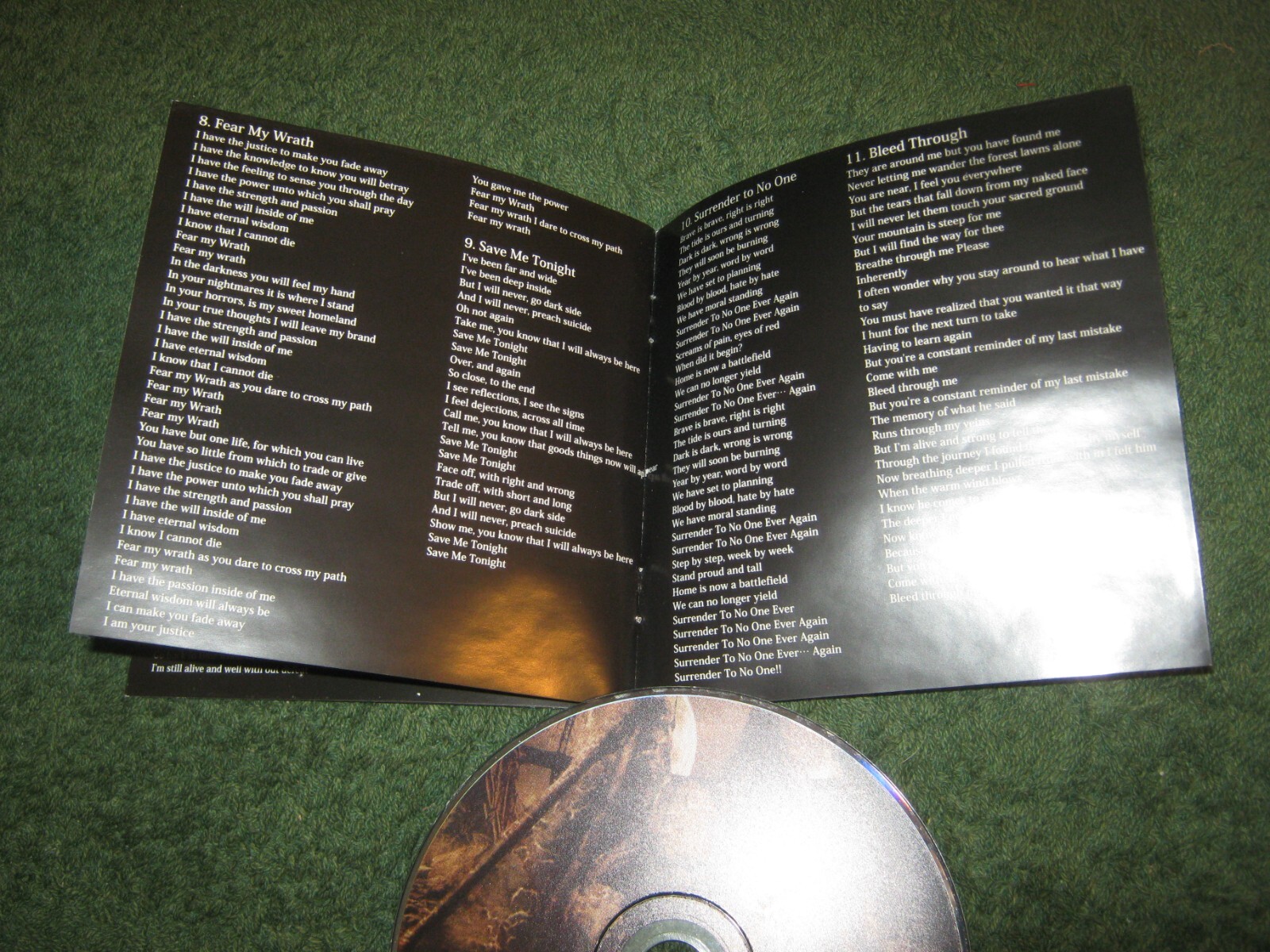 Picture 5 of 11