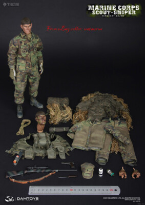 Perfect Damtoys 93018 Marine Corps Scout Sniper-- Sergeant Major